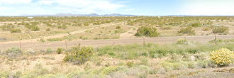 Your Gateway to Desert Living in DateLand, AZ