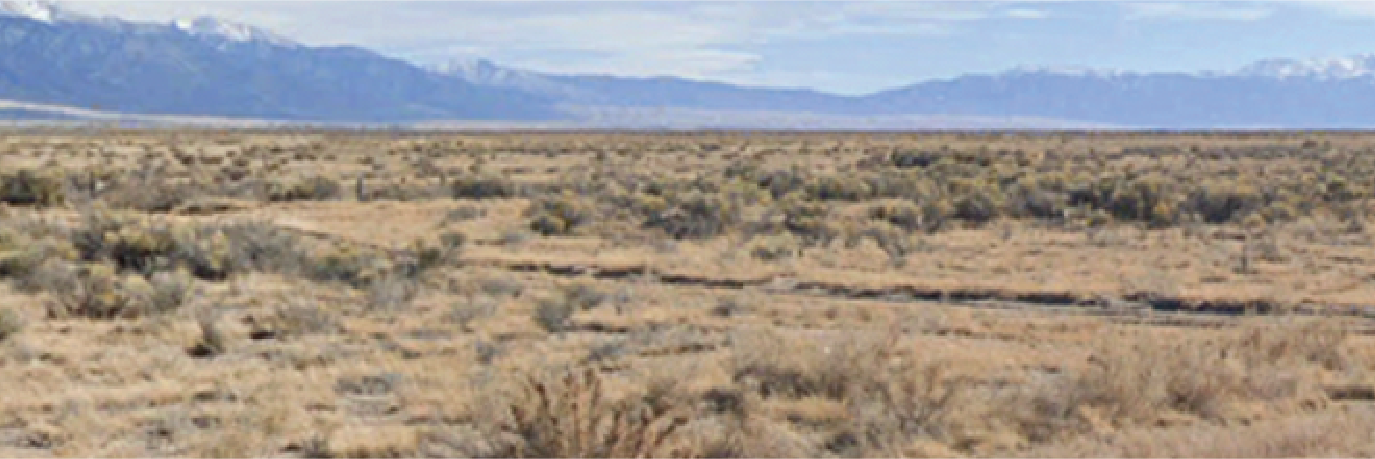 Colorado Acreage Escape