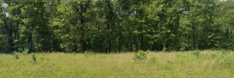 Ozarks Acreage in Gated Community