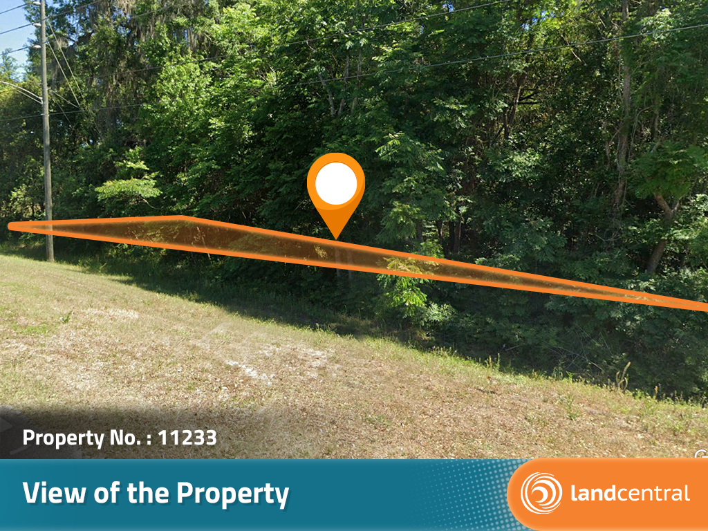 Near Quarter Acre in the Sunshine State5