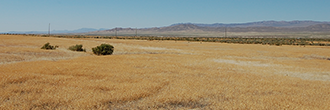 Stunning 1 Acre in Exclusive Desert Paradise