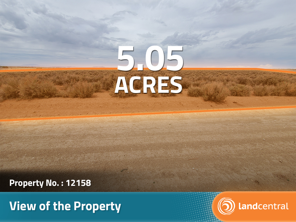 Five Acres in the San Luis Valley11