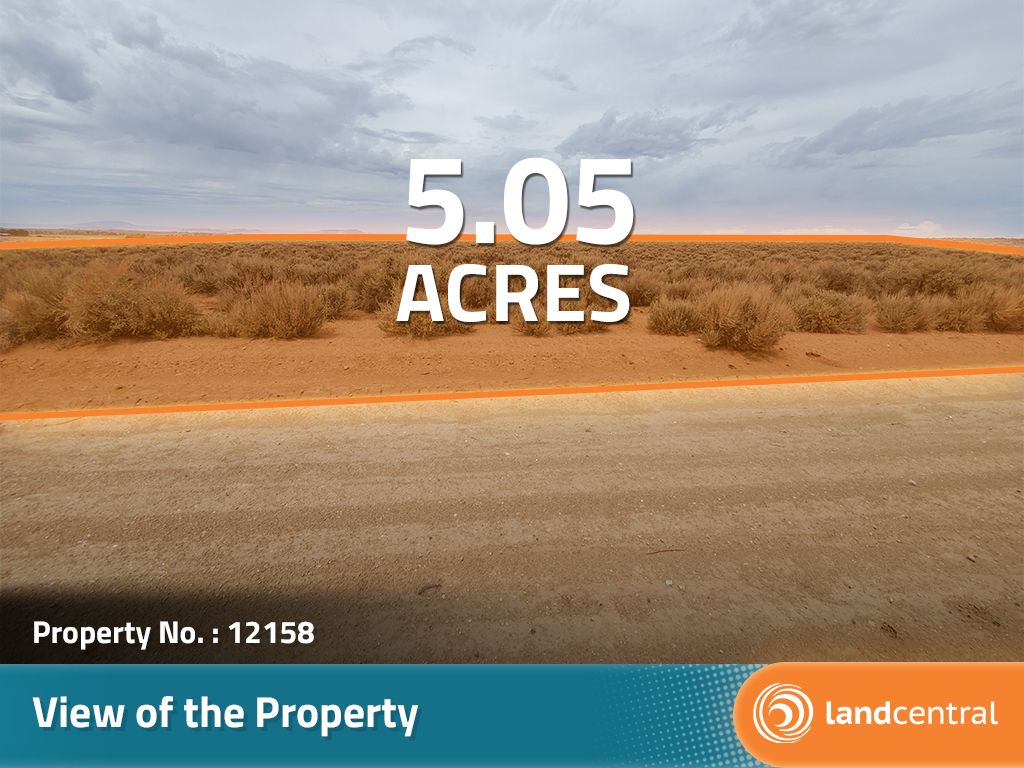 Five Acres in the San Luis Valley11