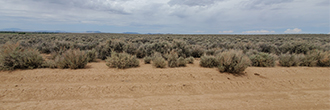 Five Acres in the San Luis Valley