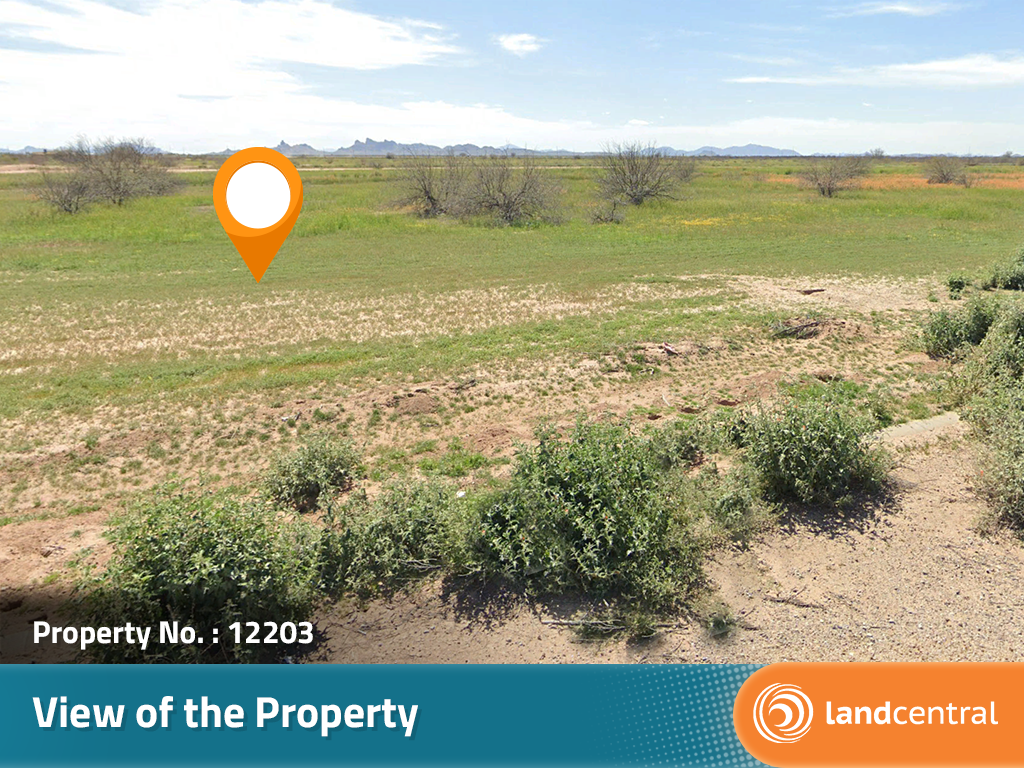 Charming Lot Surrounded by Desert Beauty9