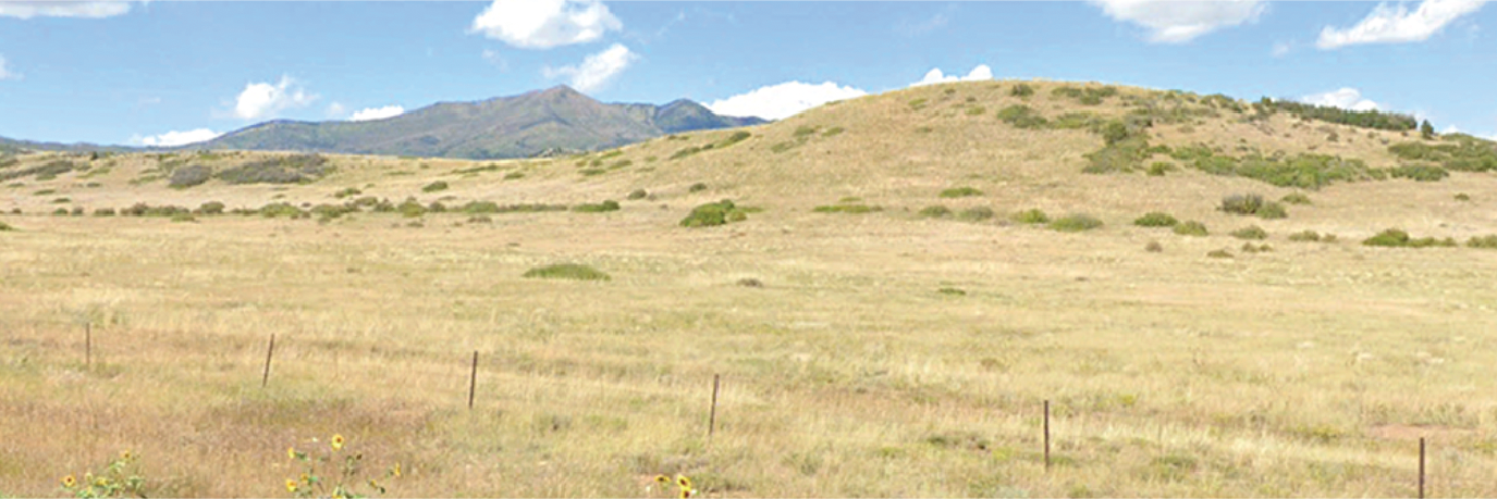 Nice sized corner lot in the gorgeous mountains of south Colorado