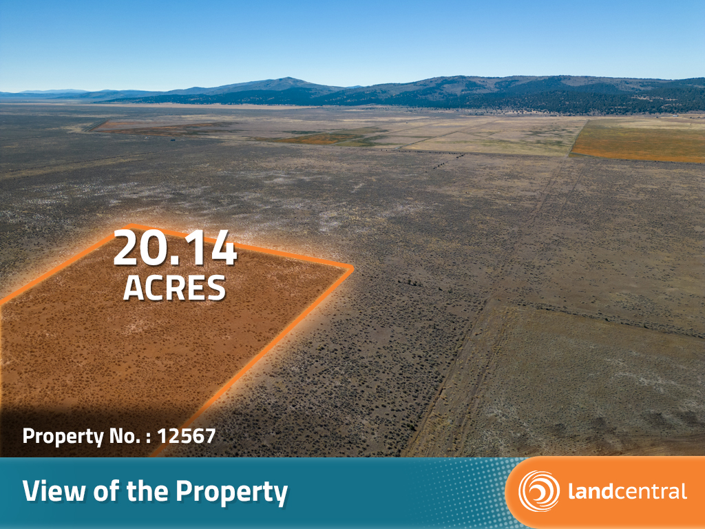 Over 20 Acres in California9