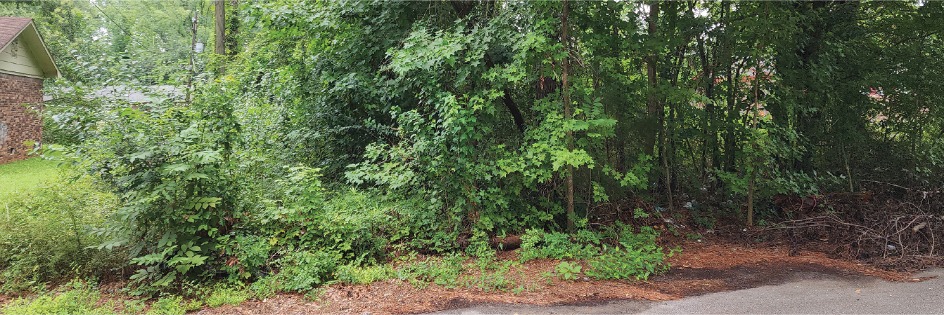 Charming Lot Outside of Capital City