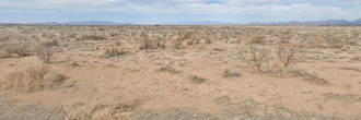 Peaceful Desert Lot with Endless Arizona Skies