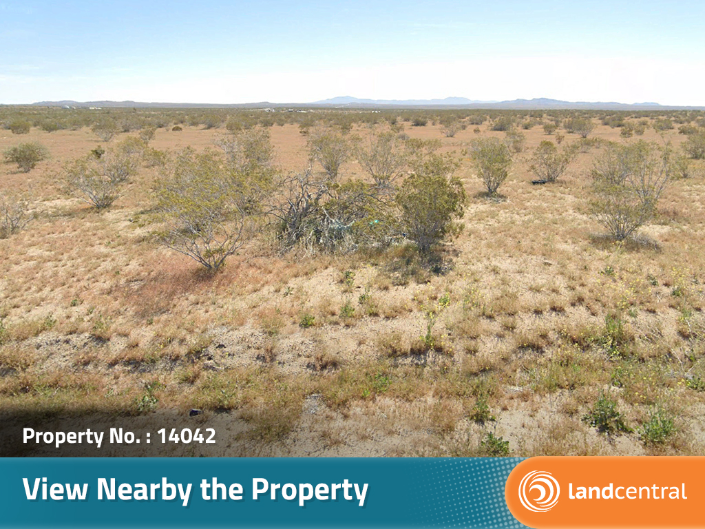 California Living on Spacious Desert Land11