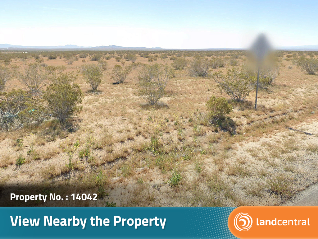 California Living on Spacious Desert Land10