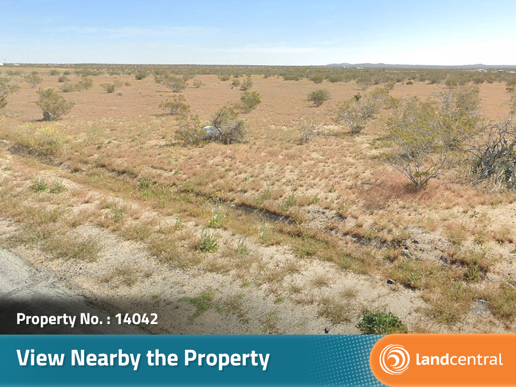 California Living on Spacious Desert Land9