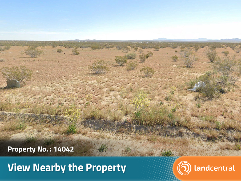 California Living on Spacious Desert Land8