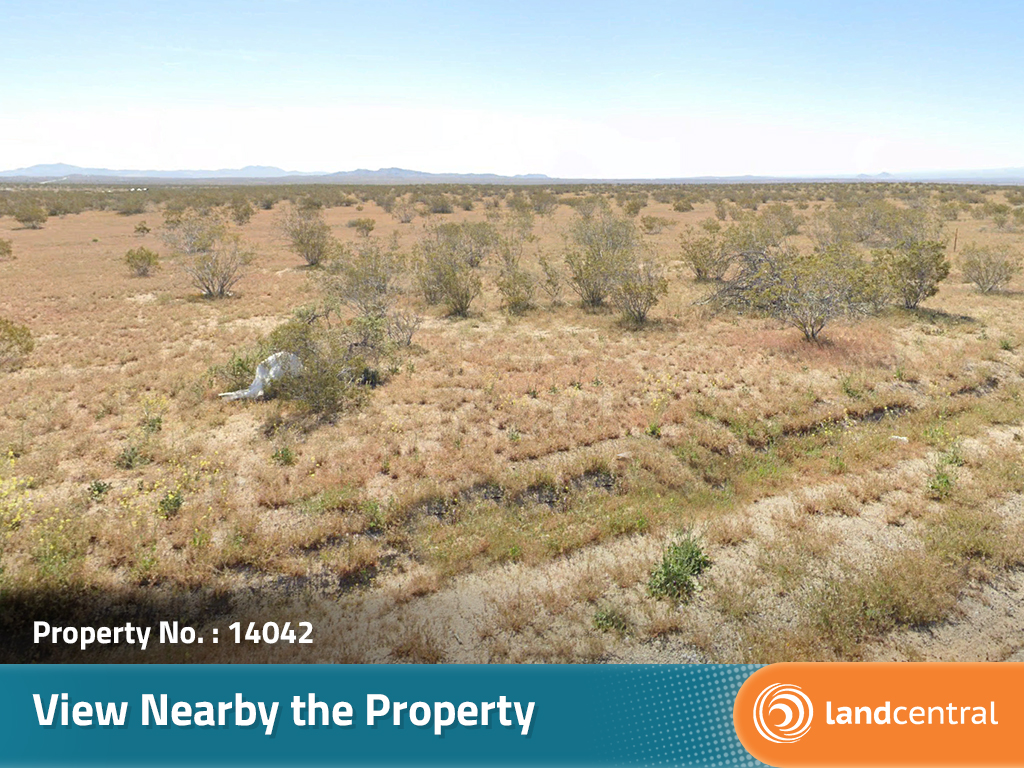 California Living on Spacious Desert Land7