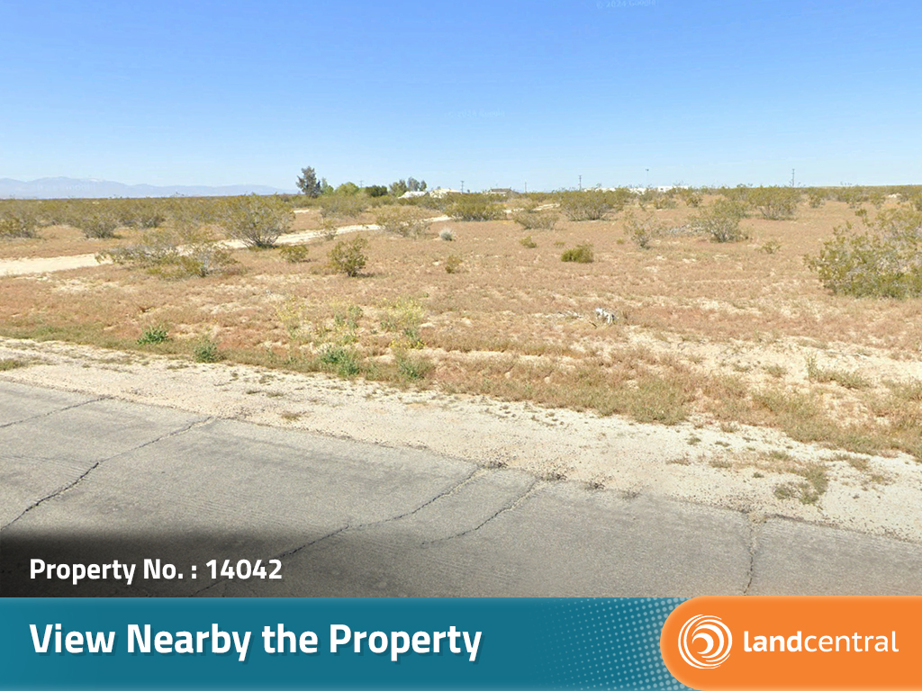 California Living on Spacious Desert Land6