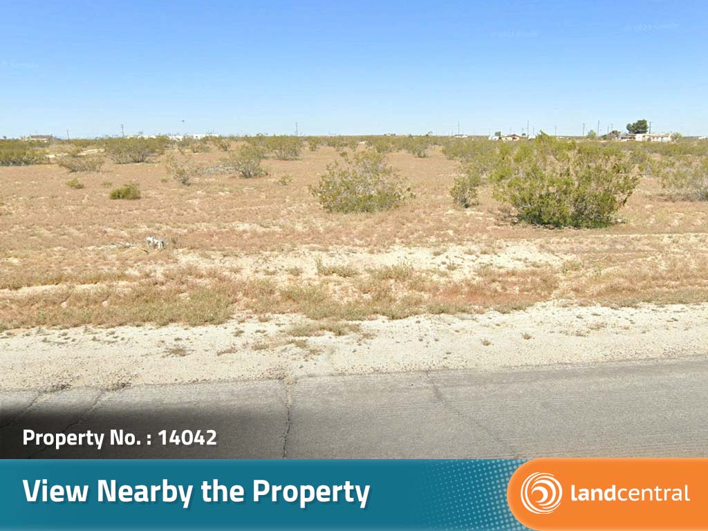 California Living on Spacious Desert Land5