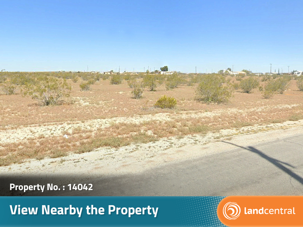 California Living on Spacious Desert Land4