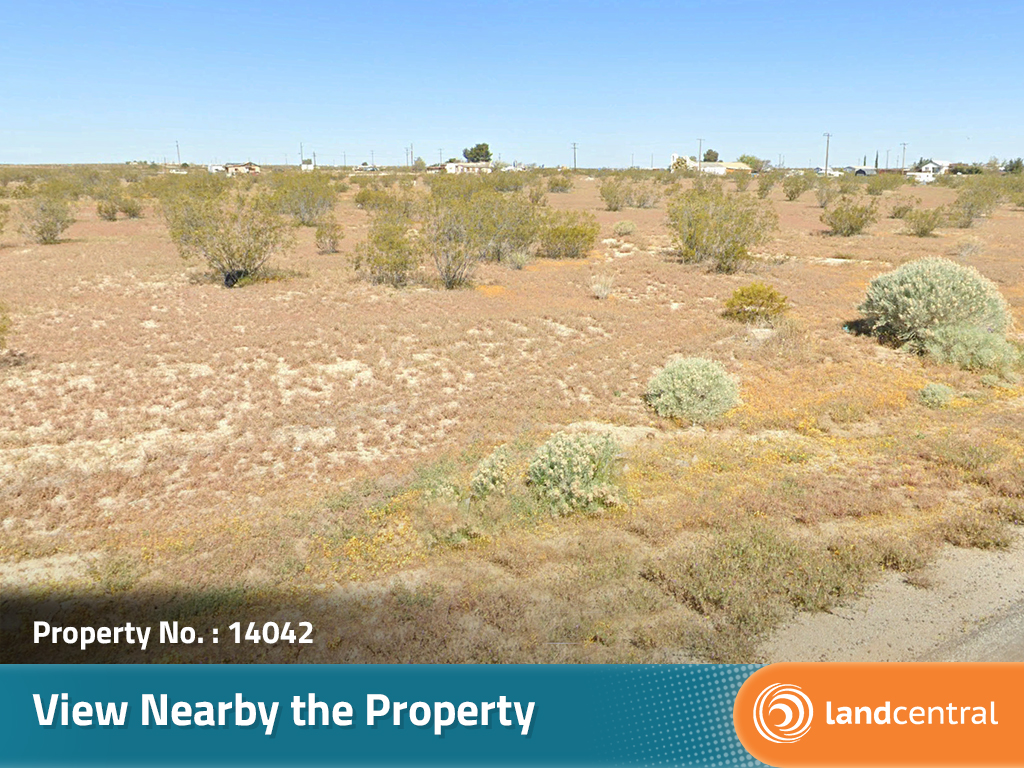 California Living on Spacious Desert Land3