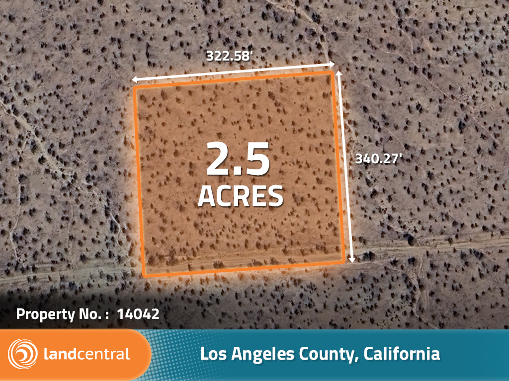 California Living on Spacious Desert Land1