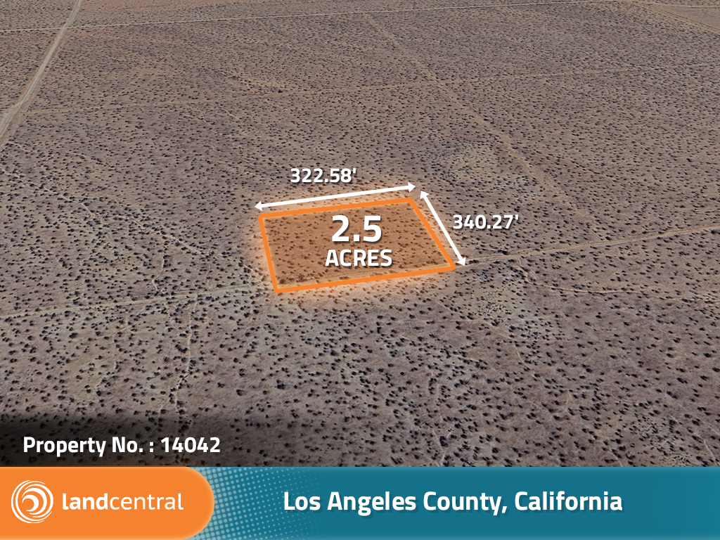 California Living on Spacious Desert Land2