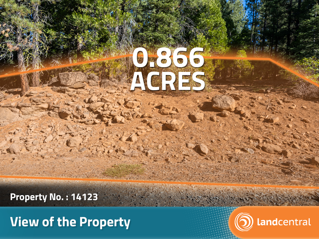 Investigate the opportunity near California Pines10