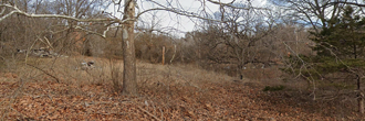 Over an acre of beautifully wooded privacy with room to build