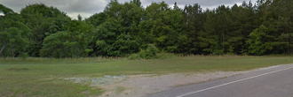 Beautiful Alabama property close to Coosa River