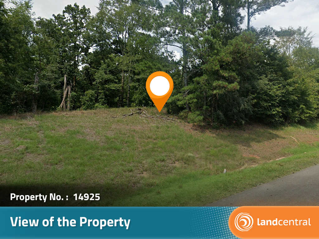 Nearly an acre at the end of a charming road near the lake4