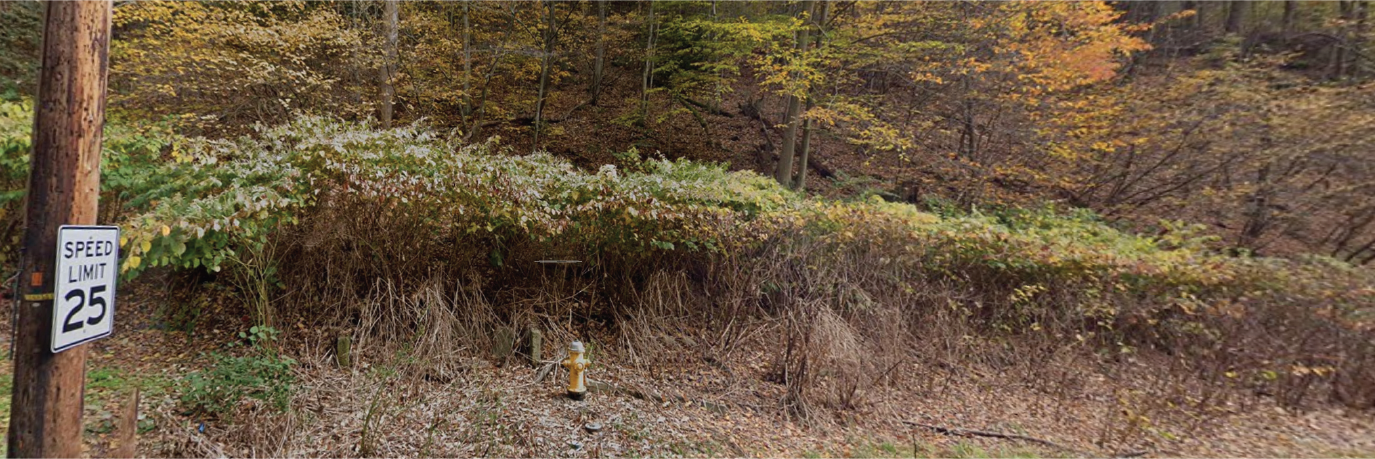 Beautiful property in an idyllic small town close to the big city