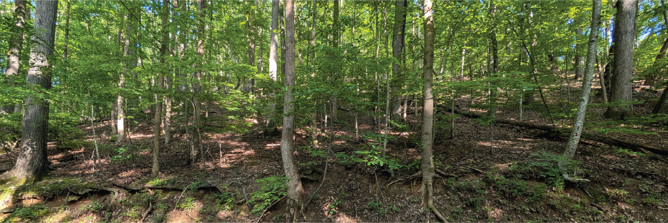 Great property nestled between a gorgeous lake and stunning mountains