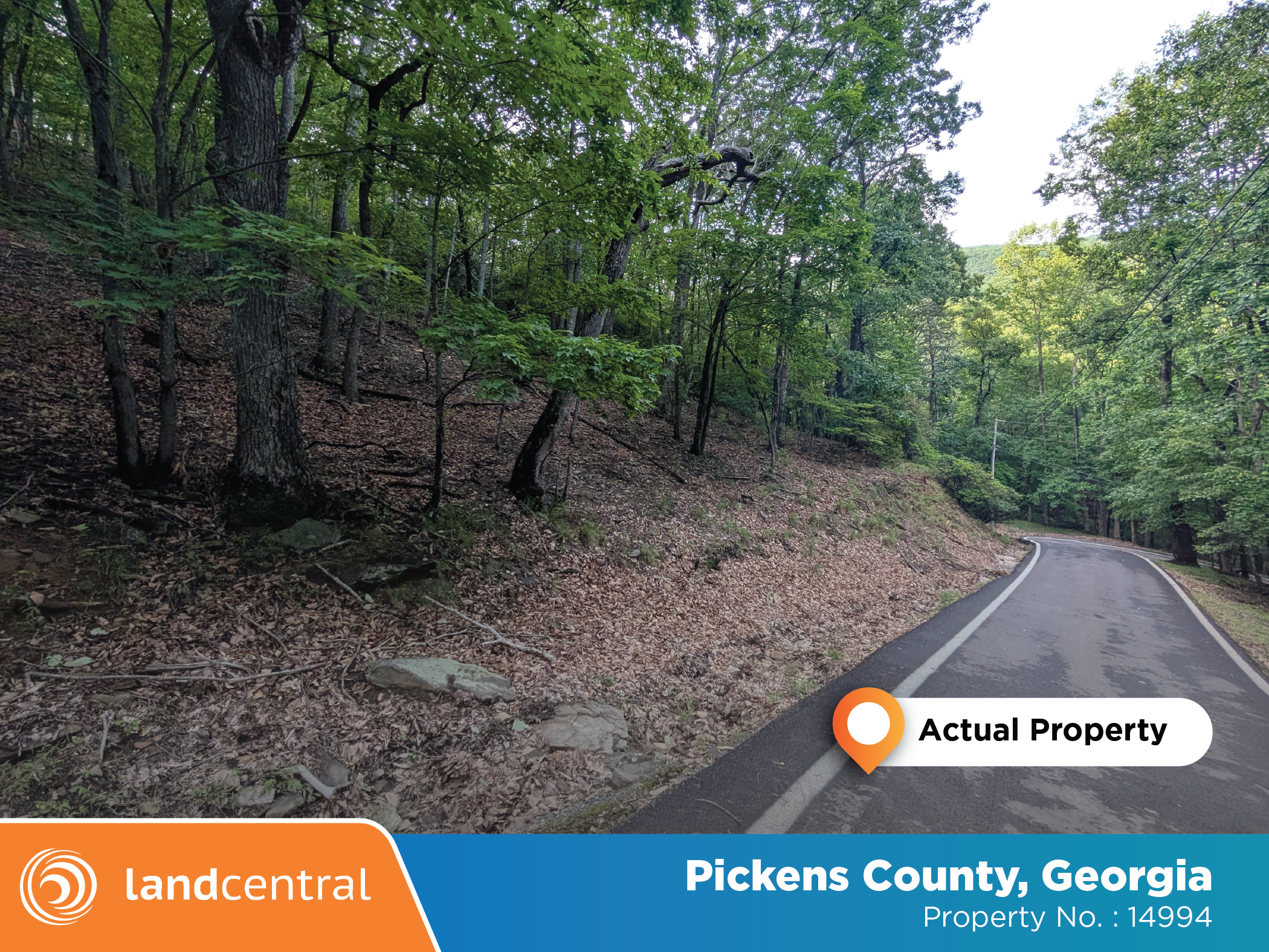 Large property tucked away in the peacefulness of the woods10