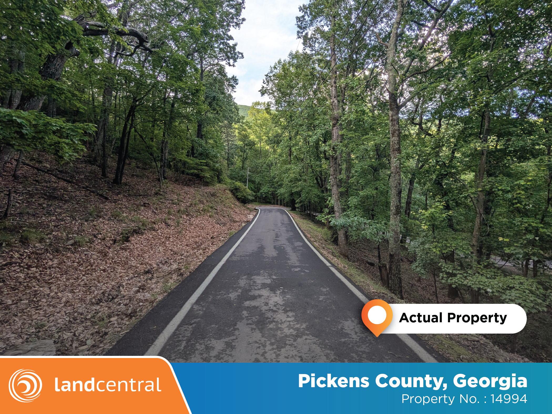 Large property tucked away in the peacefulness of the woods3