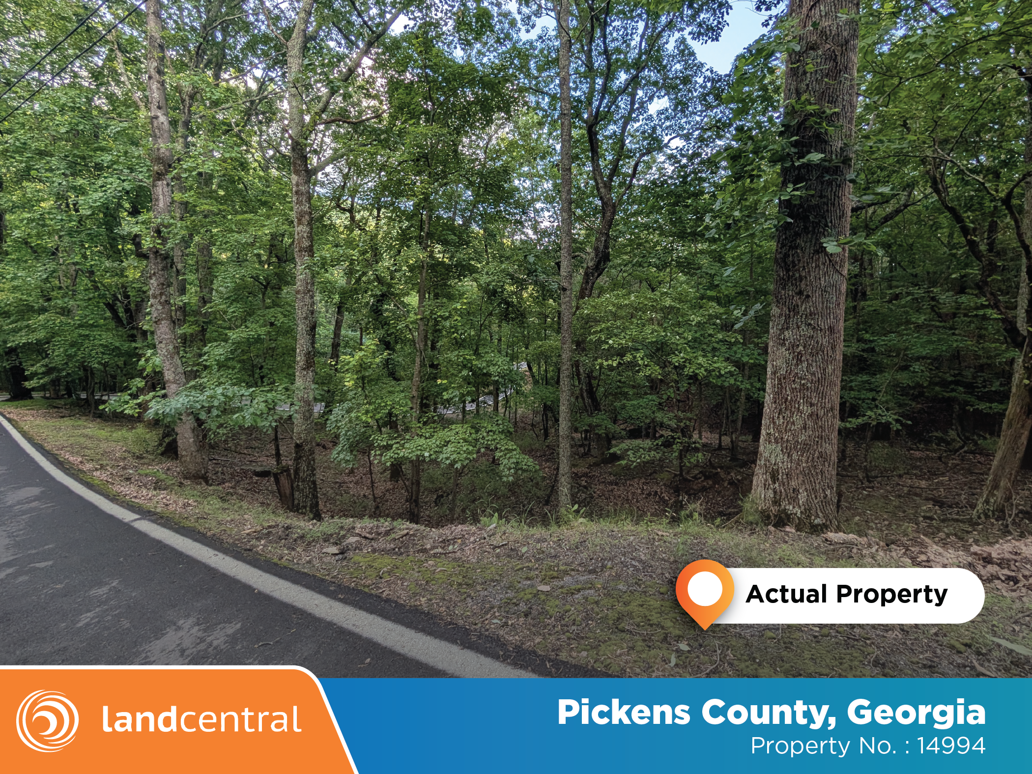 Large property tucked away in the peacefulness of the woods7