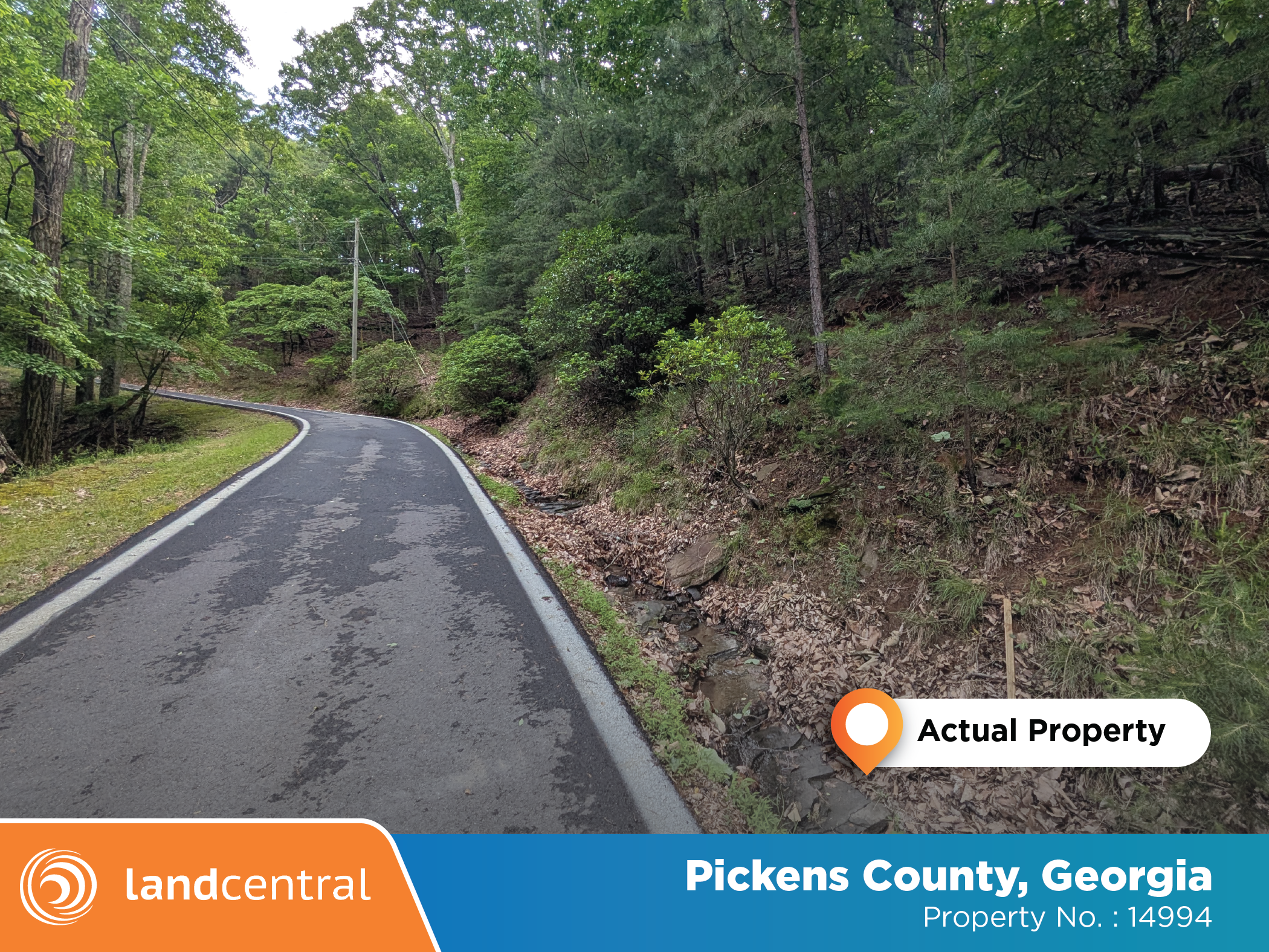 Large property tucked away in the peacefulness of the woods4