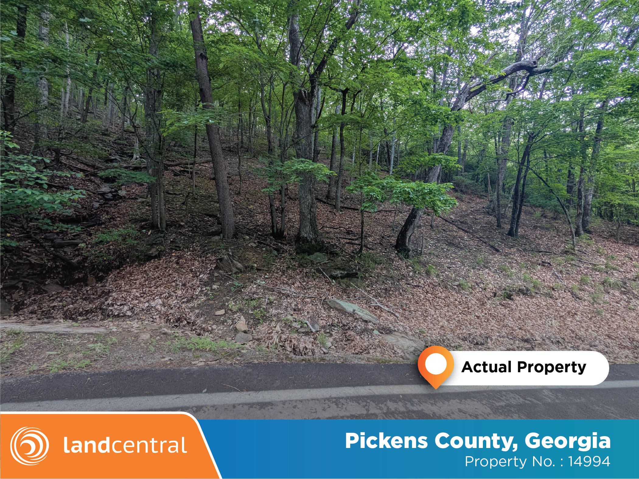 Large property tucked away in the peacefulness of the woods5