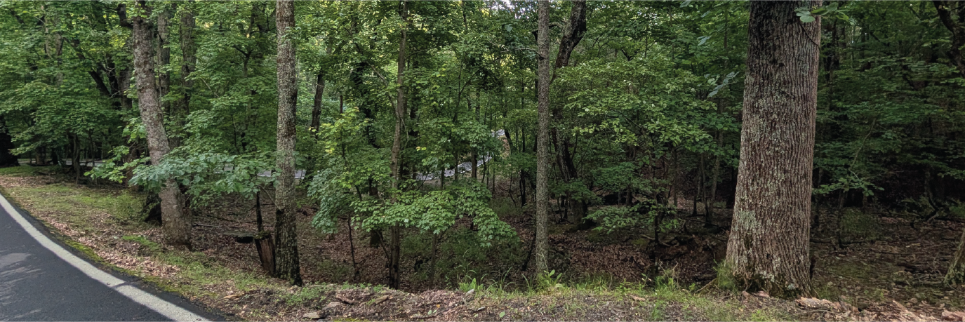 Large property tucked away in the peacefulness of the woods