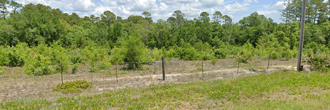 Florida Land Parcel in Reach of Lake and Hiking Trails