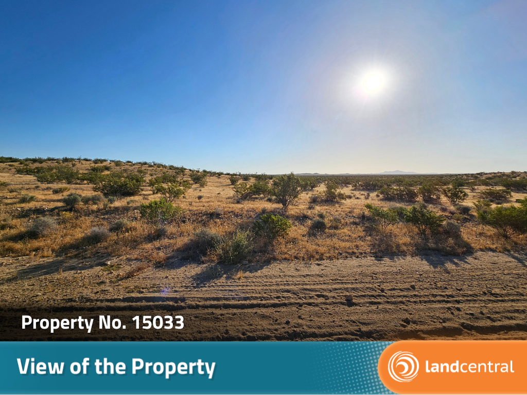 Almost two acres of gorgeous desert land outside of the city5