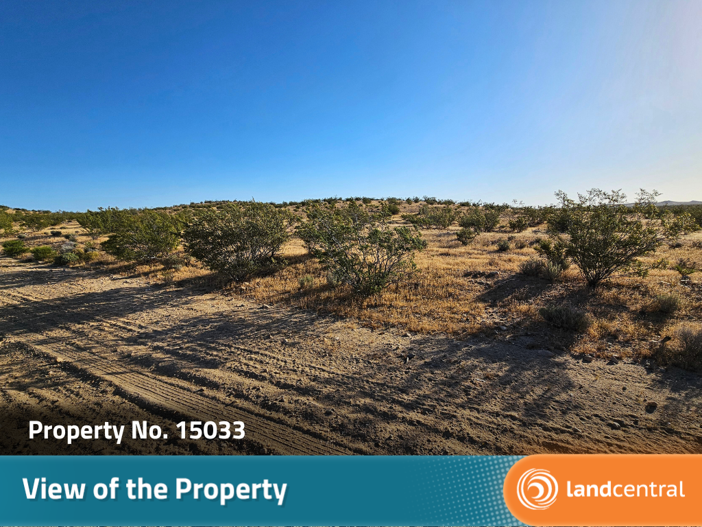 Almost two acres of gorgeous desert land outside of the city6