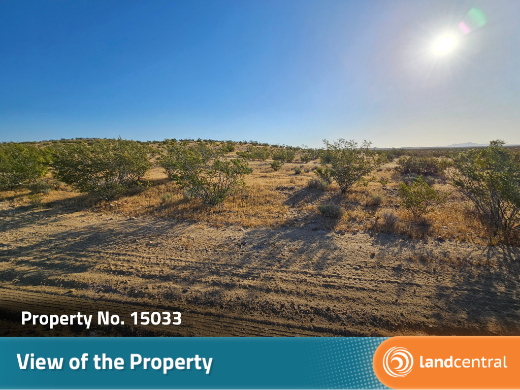 Almost two acres of gorgeous desert land outside of the city7