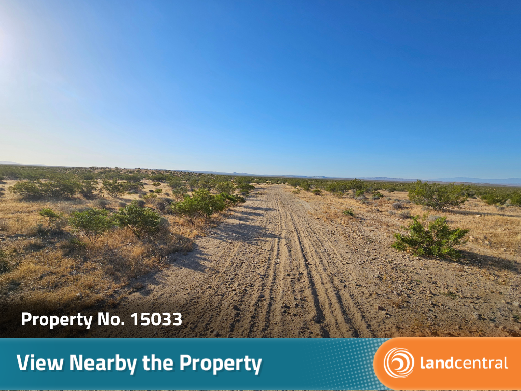 Almost two acres of gorgeous desert land outside of the city9