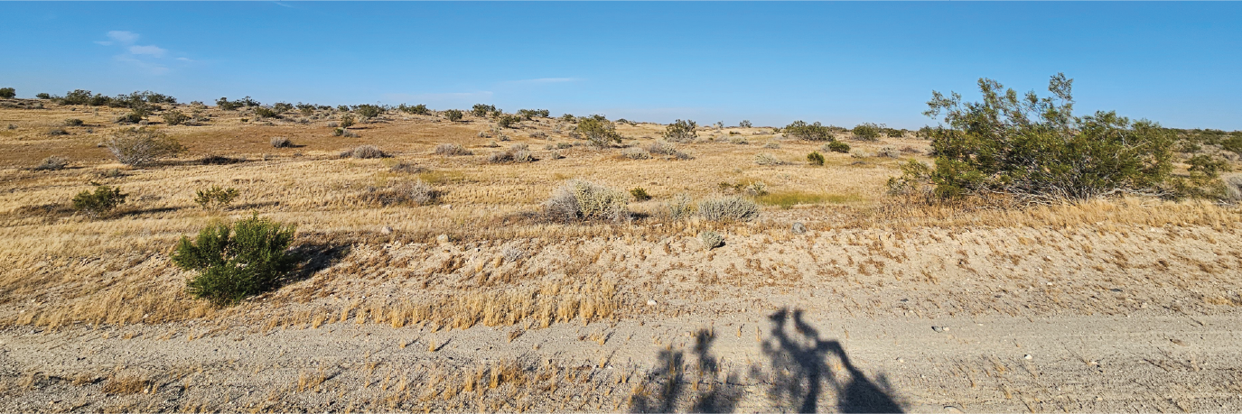 Stunning lot sitting on more than 10 acres in the California desert