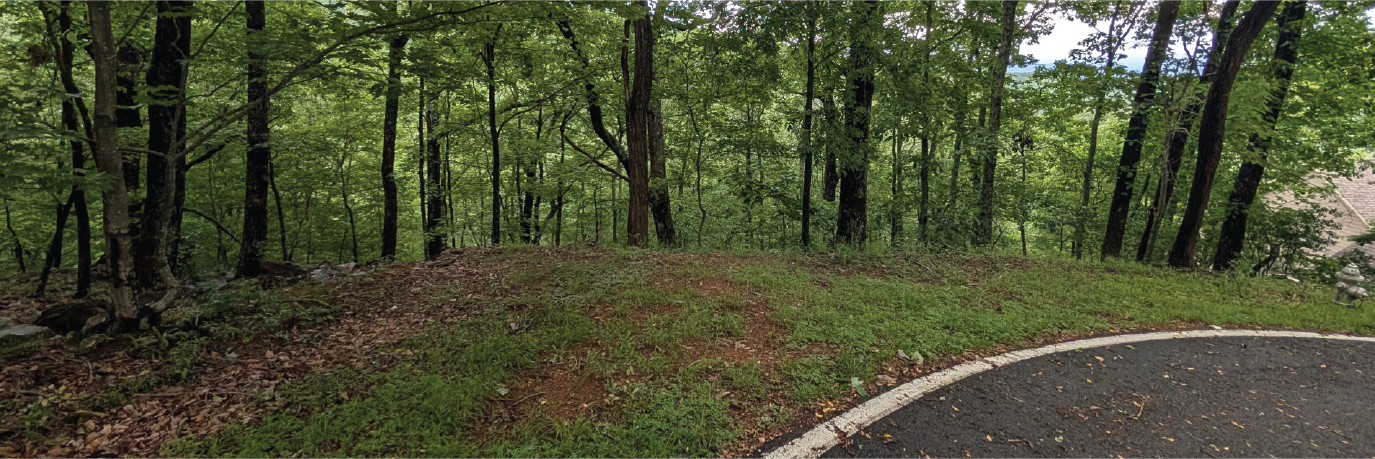 Over an acre and a half of amazing land in a quiet community