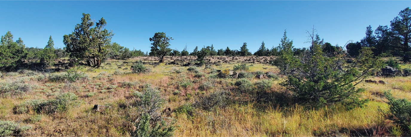 Stunning 2.5 acre property in far north California