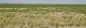 Amazing property just waiting for you to build your dream home