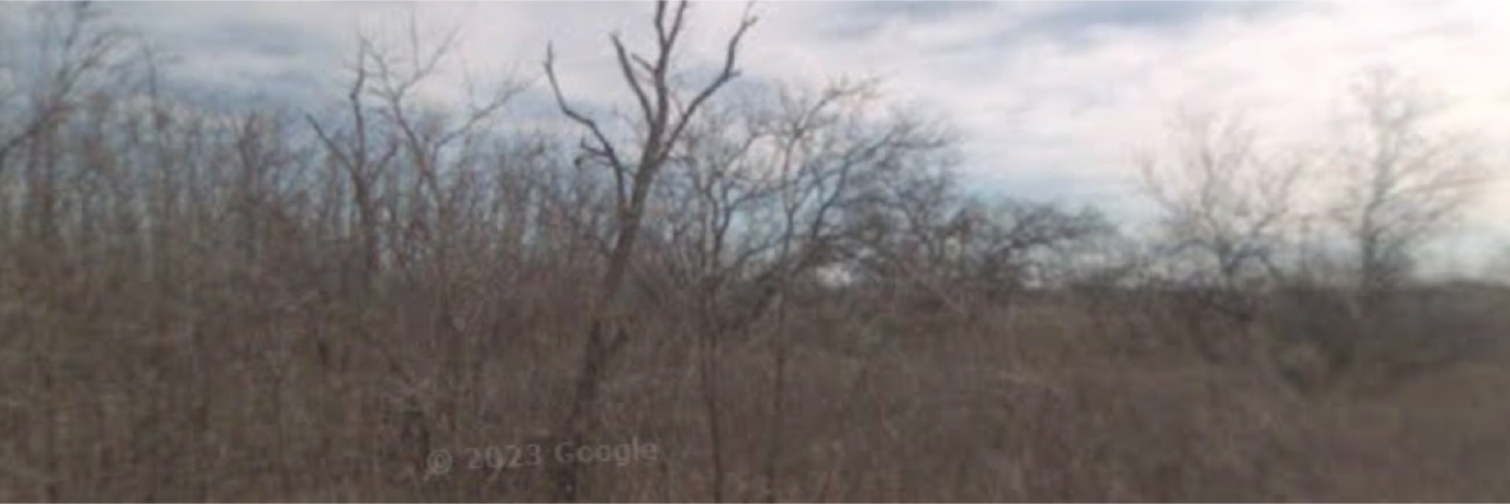 Nice sized property in a quaint and charming Texas town