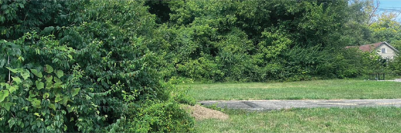 Beautiful property in the heart of a sweet southern town