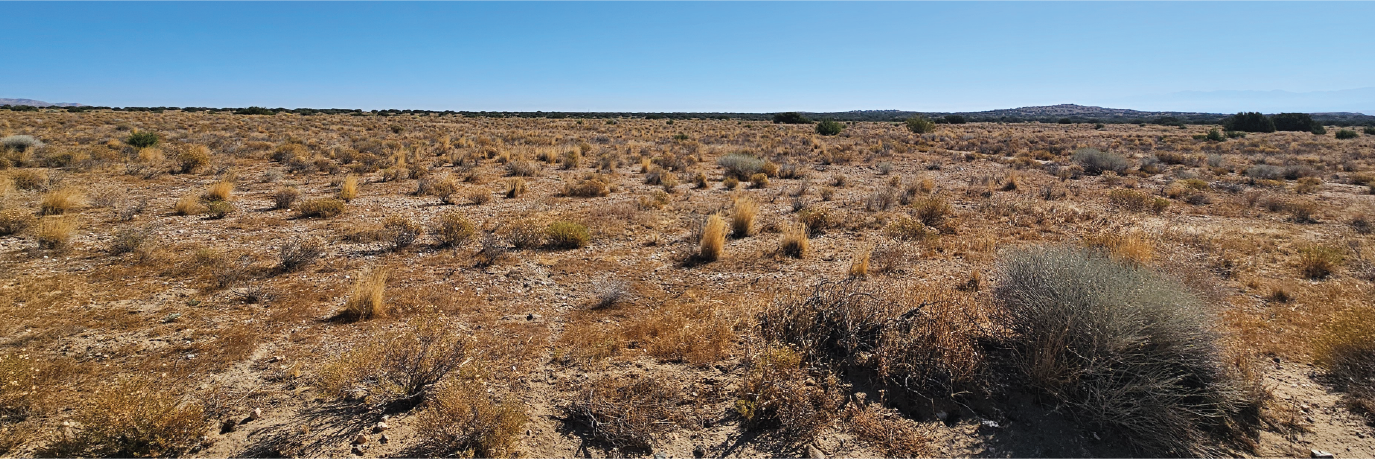 Gorgeous 5 acre property with all the peace and privacy you could need