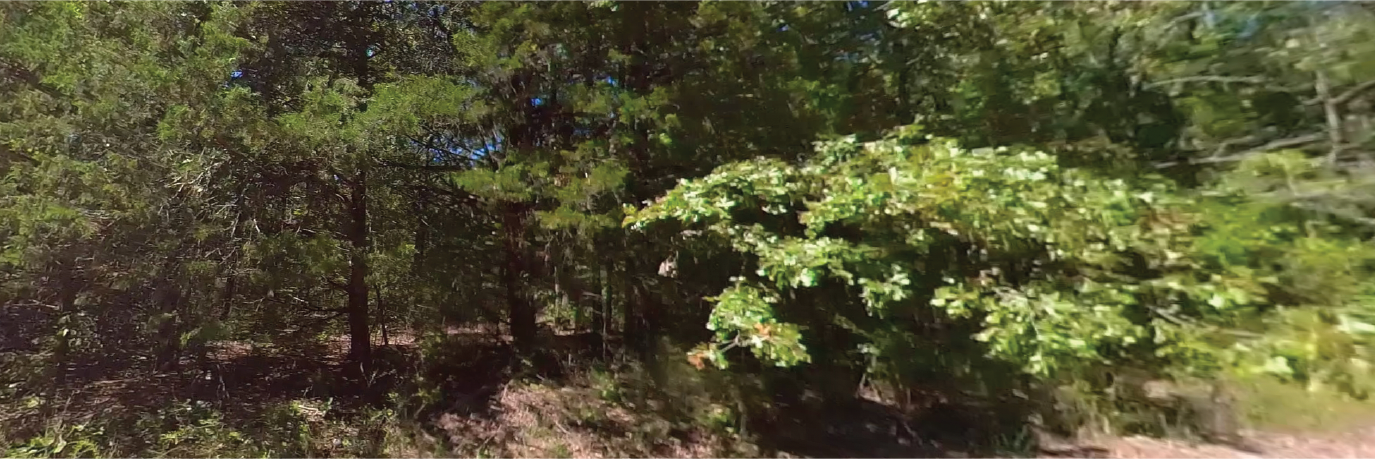 Amazing corner property walking distance to Lake Norfork