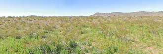 Very large corner lot in the heart of the Mojave desert